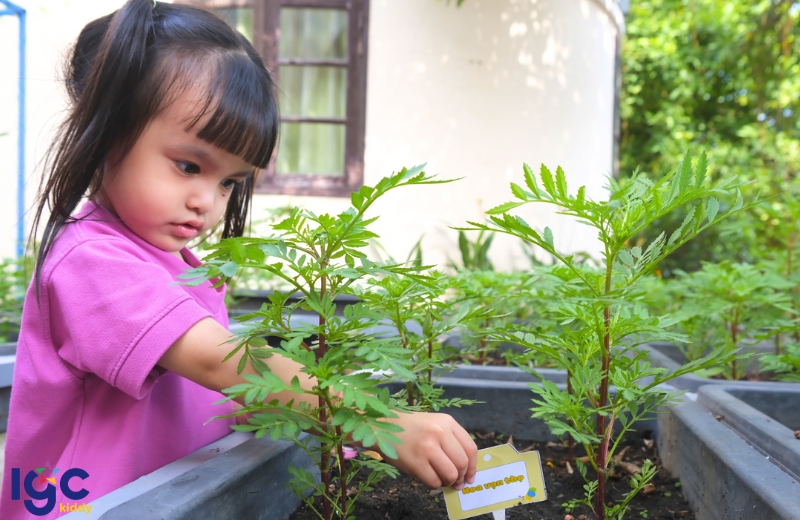 KHÁM PHÁ THẾ GIỚI KỲ DIỆU CỦA NHỮNG MẦM XANH TẠI IGC BÌNH DƯƠNG