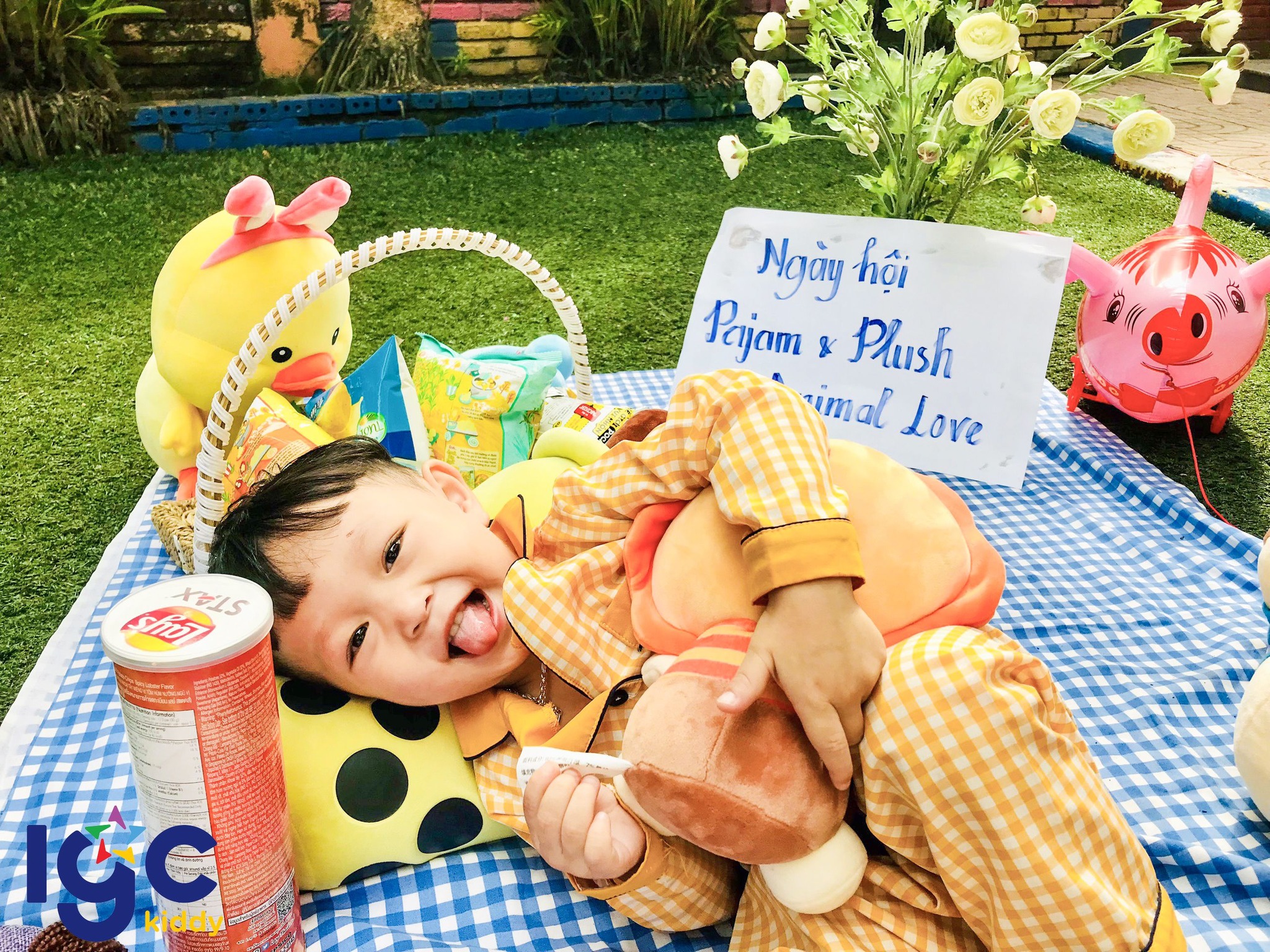 LỄ HỘI “PAJAMA DAY & PLUSH ANIMAL LOVER'S DAY”