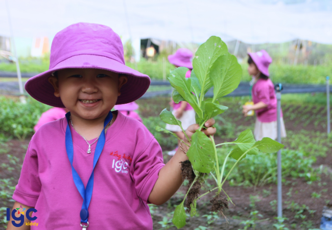 DÃ NGOẠI CHO TRẺ MẦM NON TẠI BÌNH DƯƠNG: KHÁM PHÁ VƯỜN RAU PHÚ MỸ